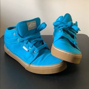 Vans Skateboard Shoe (Pro)